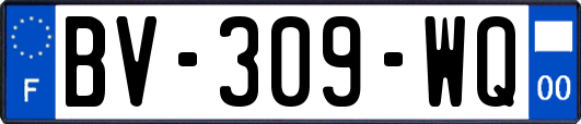 BV-309-WQ