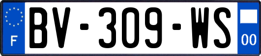 BV-309-WS