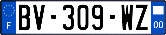 BV-309-WZ