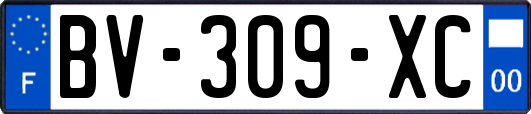 BV-309-XC