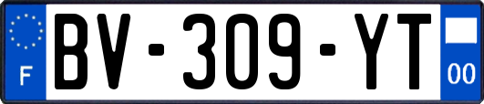 BV-309-YT