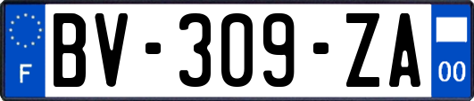 BV-309-ZA