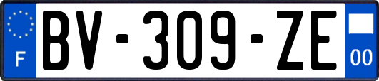 BV-309-ZE