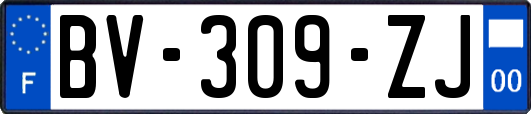 BV-309-ZJ