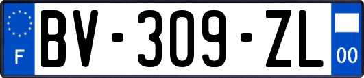 BV-309-ZL