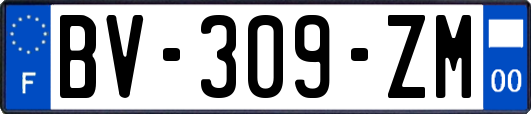 BV-309-ZM