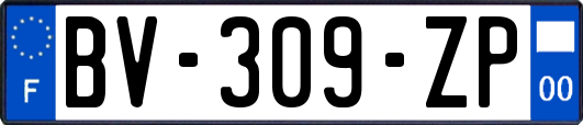 BV-309-ZP