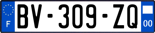 BV-309-ZQ