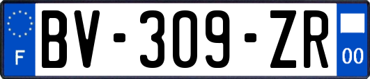 BV-309-ZR