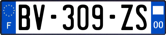 BV-309-ZS