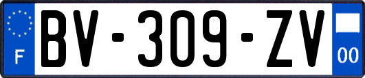 BV-309-ZV