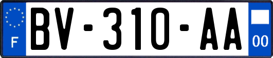 BV-310-AA