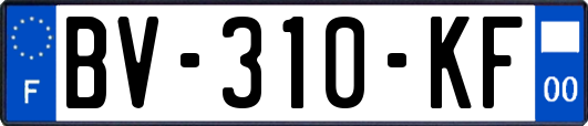 BV-310-KF