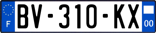 BV-310-KX