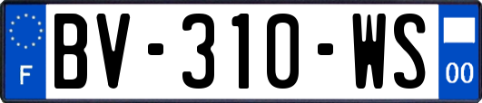 BV-310-WS