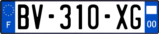 BV-310-XG