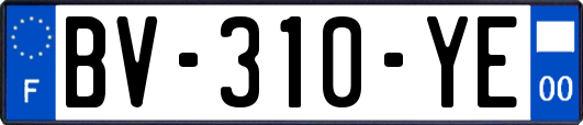 BV-310-YE