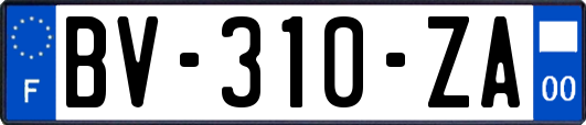 BV-310-ZA