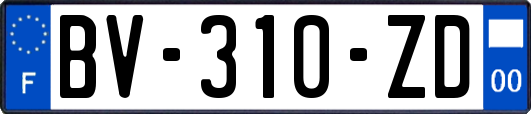 BV-310-ZD