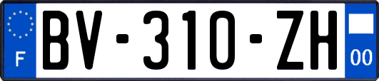 BV-310-ZH