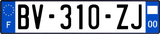 BV-310-ZJ