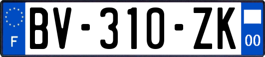 BV-310-ZK