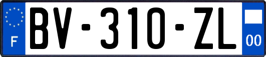 BV-310-ZL