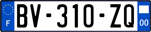 BV-310-ZQ