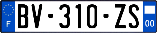 BV-310-ZS