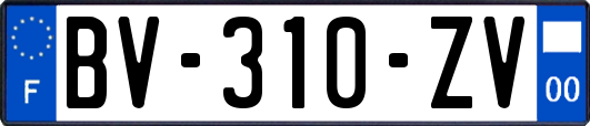 BV-310-ZV