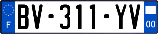 BV-311-YV