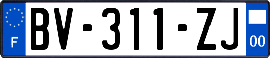 BV-311-ZJ