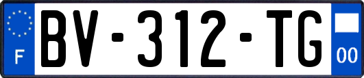 BV-312-TG