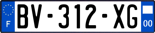 BV-312-XG