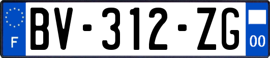 BV-312-ZG