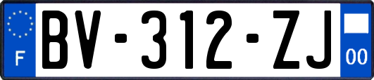 BV-312-ZJ