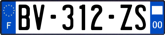 BV-312-ZS