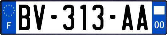 BV-313-AA