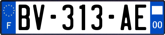 BV-313-AE