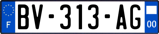 BV-313-AG