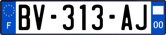 BV-313-AJ