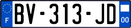 BV-313-JD