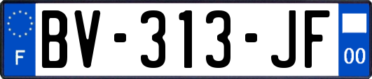 BV-313-JF