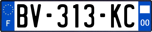 BV-313-KC