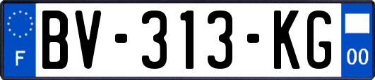 BV-313-KG