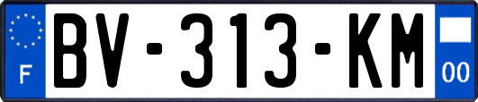 BV-313-KM