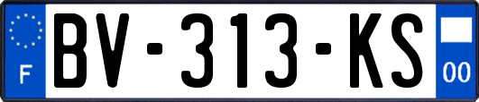 BV-313-KS