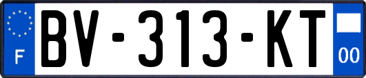 BV-313-KT