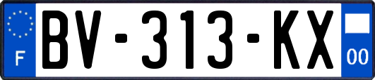 BV-313-KX
