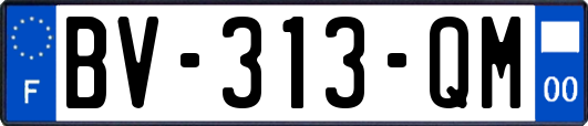 BV-313-QM